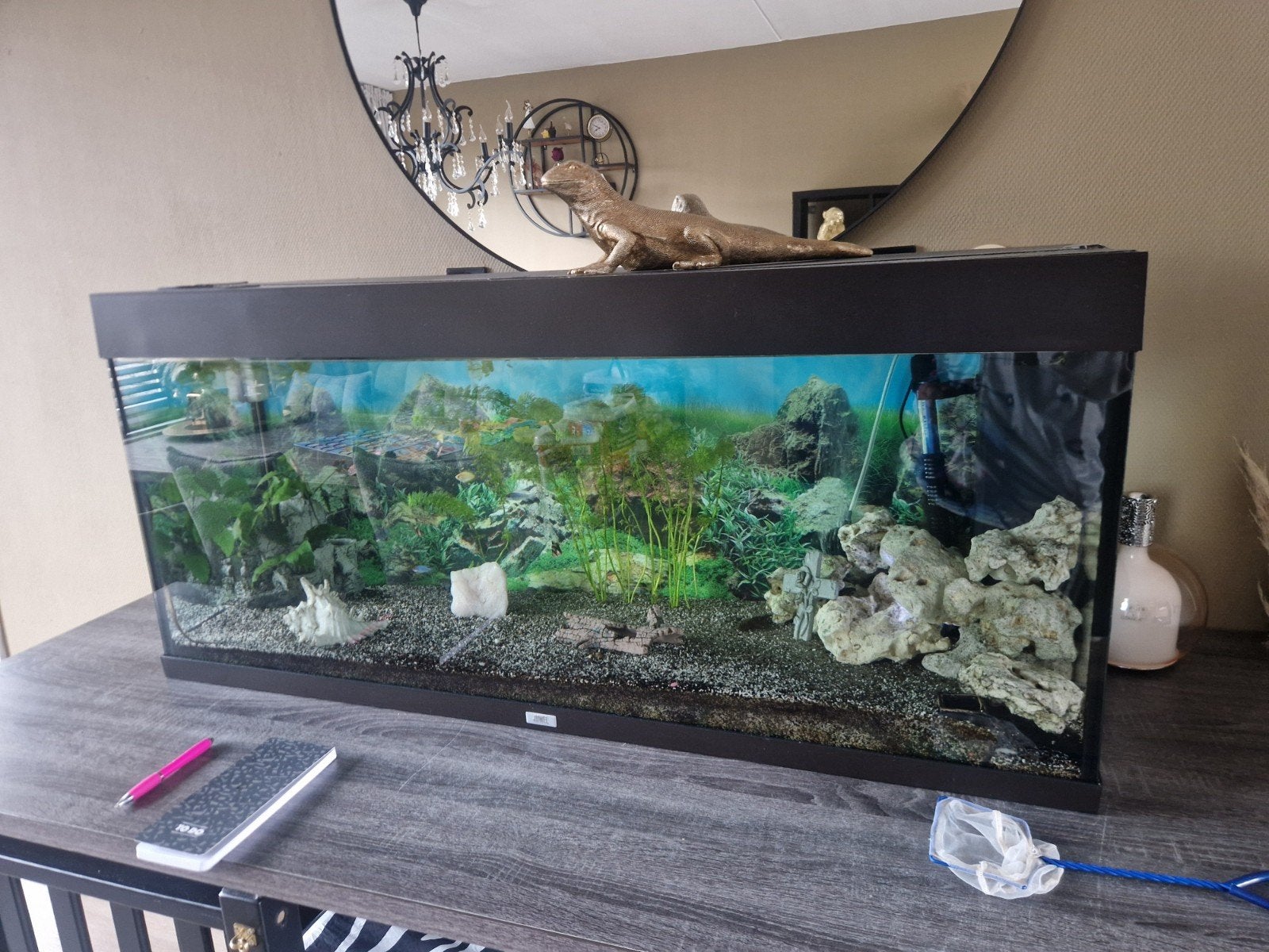 groot aquarium, Ophalen, Zo goed als nieuw, Gevuld zoetwateraquarium