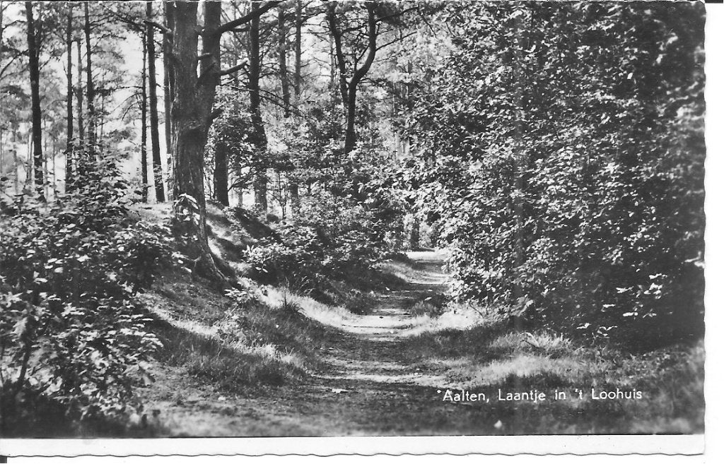 Oude ansichtkaart Aalten, Laantje in 't Loohuis, Ophalen of Verzenden, 1960 tot 1980, Ongelopen, Gelderland