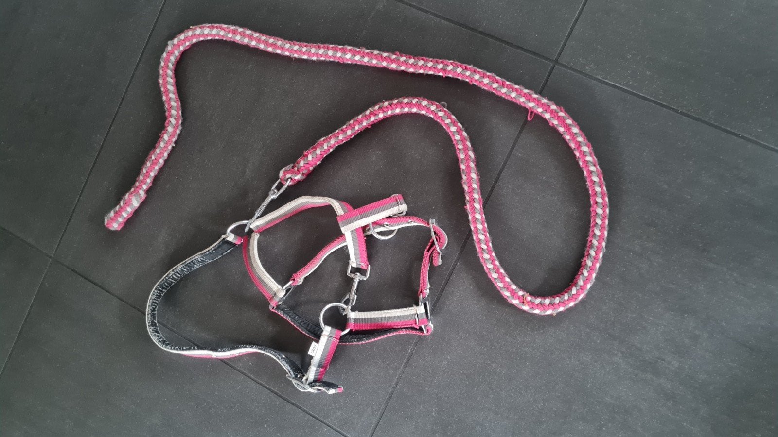 Halster voor een pony, inclusief bijbehorende touw, Ophalen of Verzenden, Gebruikt