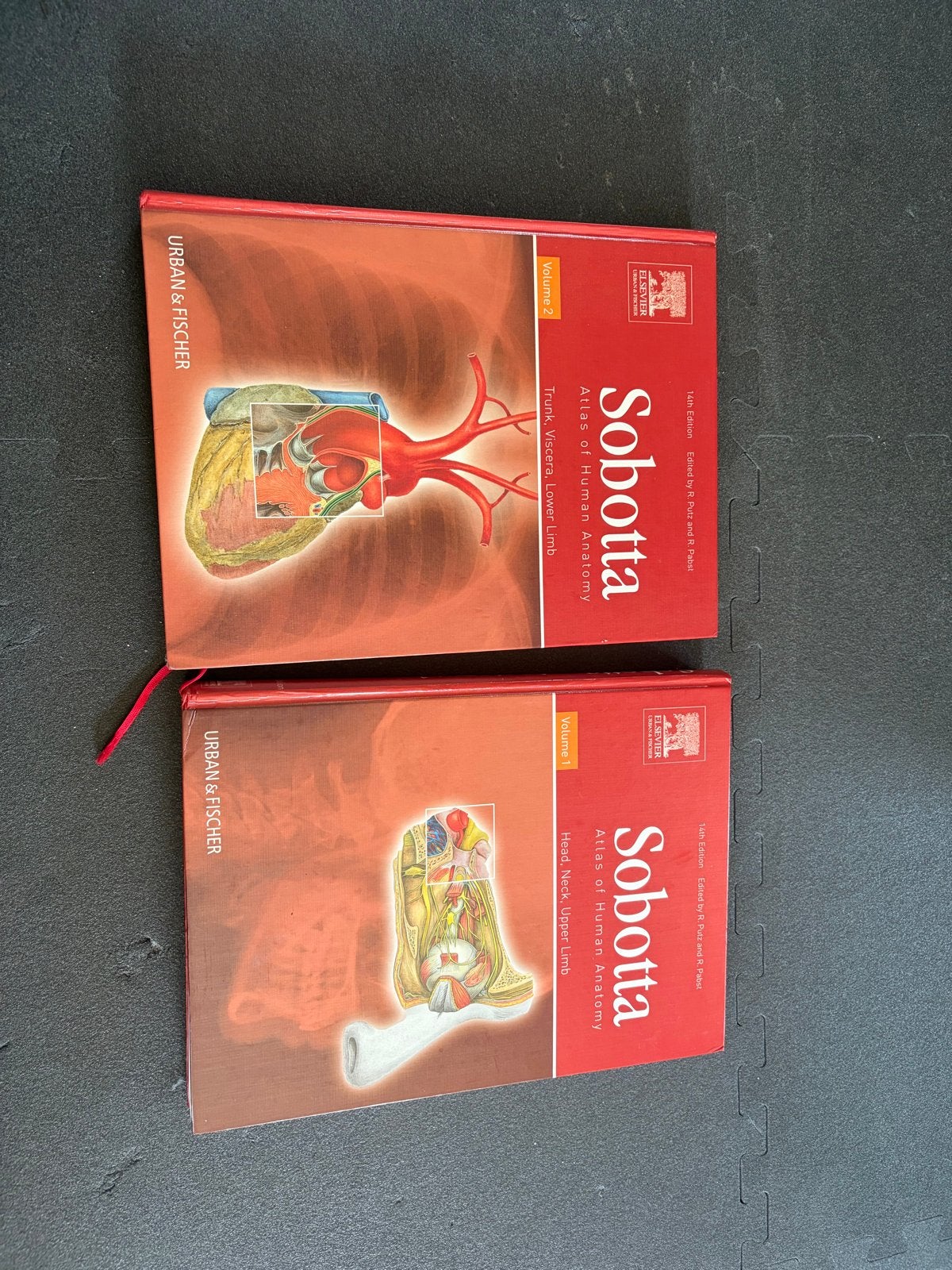 Sobotta Atlas of Human Anatomy - 14e editie (2 delen), Ophalen of Verzenden, Beta, Zo goed als nieuw, HBO