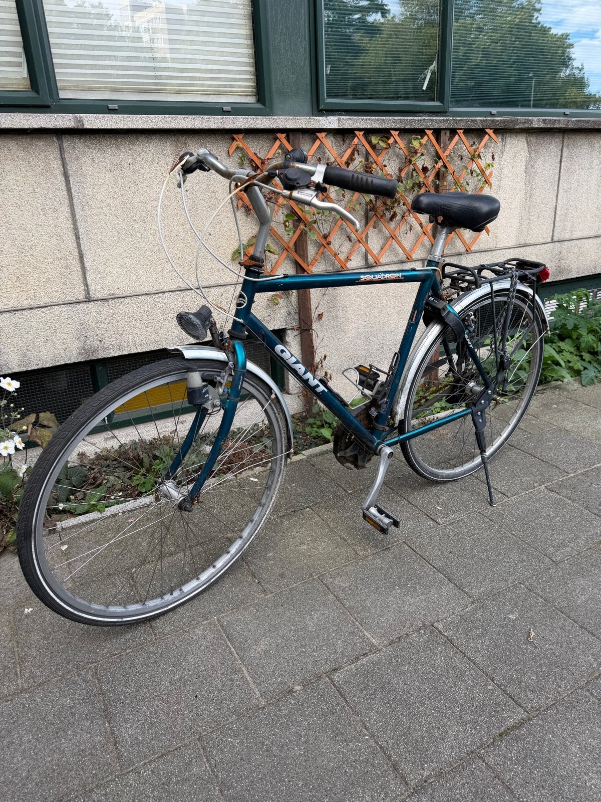 Giant Squadron toerfiets - herenfiets does not ride, Gebruikt, Velgrem, Versnellingen, 53 tot 57 cm