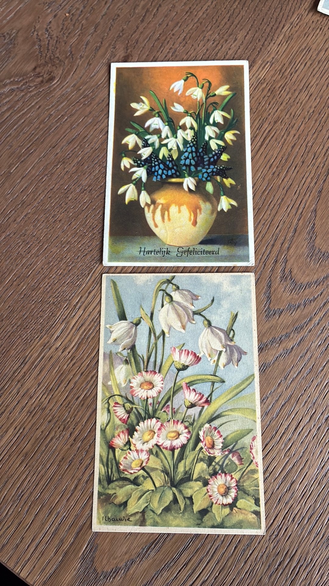 Sneeuwklokjes. Madeliefjes, blauwe druifjes., Verzamelen, Ophalen of Verzenden