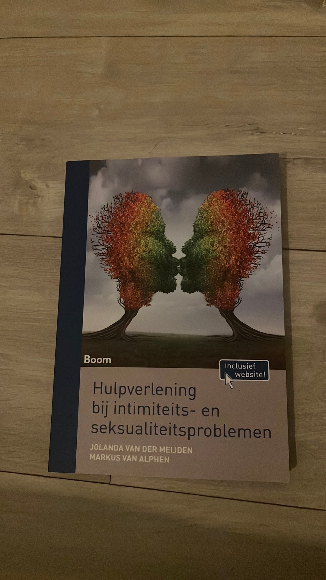 Hulpverlening bij intimiteits- en seksualiteitsproblemen, Boeken, Studieboeken en Cursussen, Beta, HBO, Ophalen of Verzenden, Markus van Alphen; Jolanda van der Meijden