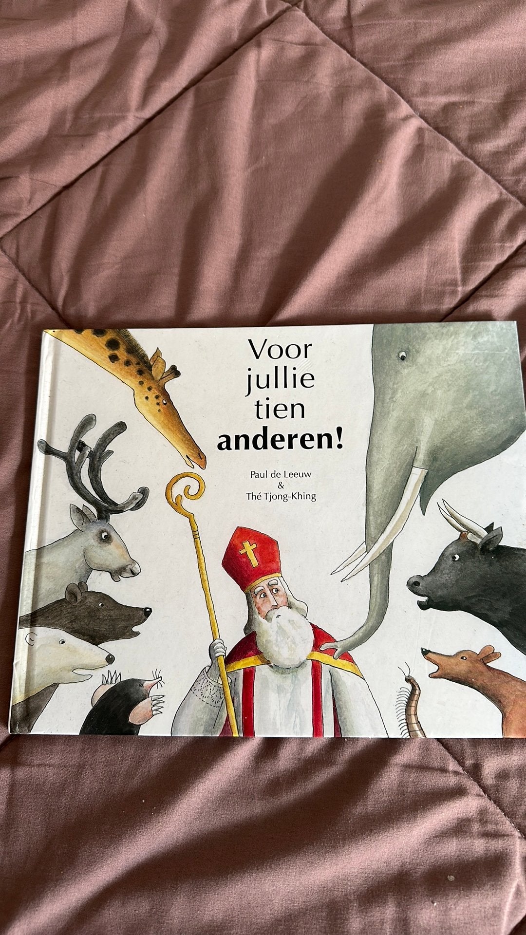 Sinterklaas kinderBoek voor jullie tien anderen, Ophalen of Verzenden, Zo goed als nieuw