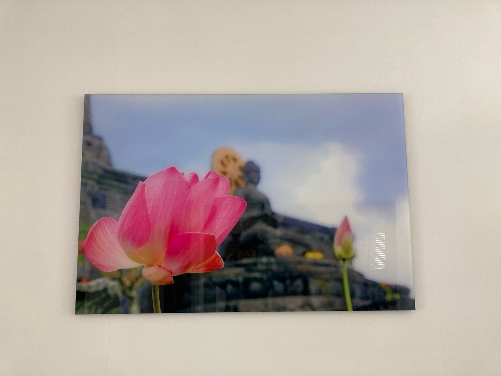 Lotus en Boeddha foto op Plexiglas, Ophalen, Oorspronkelijke maker, Zo goed als nieuw, 100 tot 125 cm