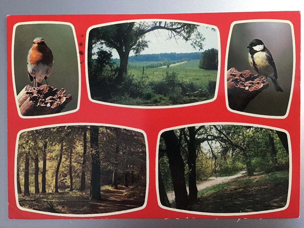 Ansichtkaart Roosendaal met natuurtaferelen en vogels 1980, Ophalen of Verzenden, 1960 tot 1980, Gelopen, Noord-Brabant