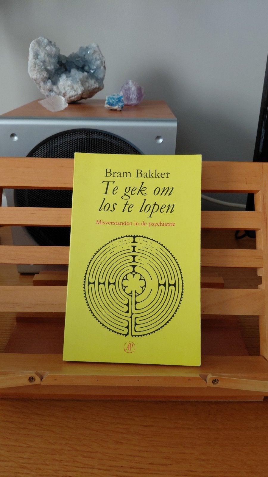 Te gek om los te lopen - Bram Bakker (Psychiatrie), Ophalen of Verzenden, Gelezen, Klinische psychologie, Bram Bakker