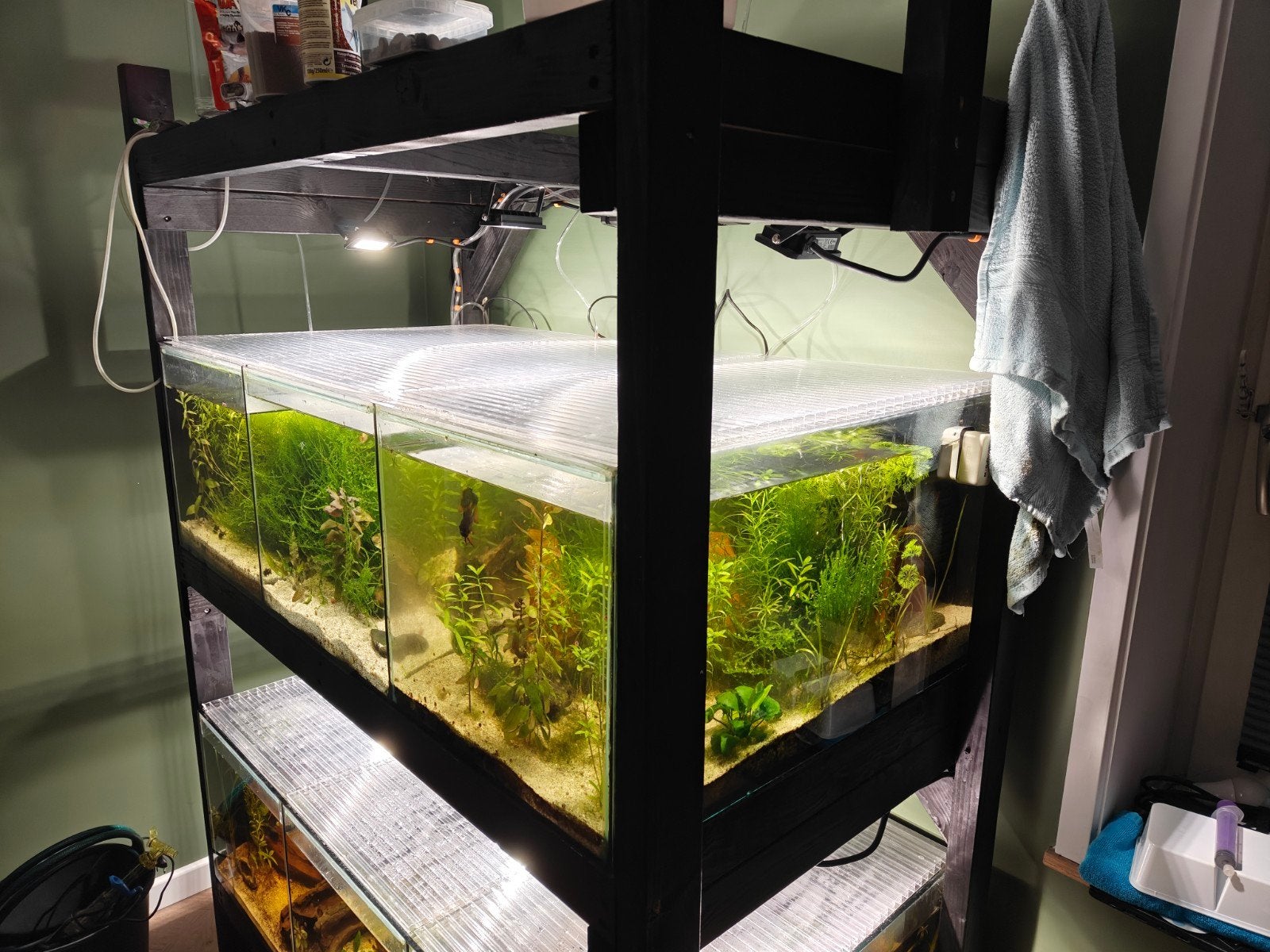 kweek stelling met 9 grote aquaria, Ophalen, Inclusief toebehoren, Gebruikt