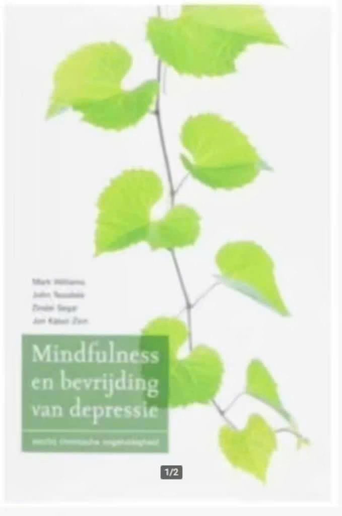 Mindfulness en bevrijding van depressie (Mark Williams), Boeken, Ophalen of Verzenden, Zo goed als nieuw, Overige onderwerpen