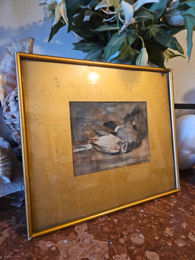 Aquarel dode vogel, onduidelijke signatuur, mogelijk Jim F, Ophalen of Verzenden