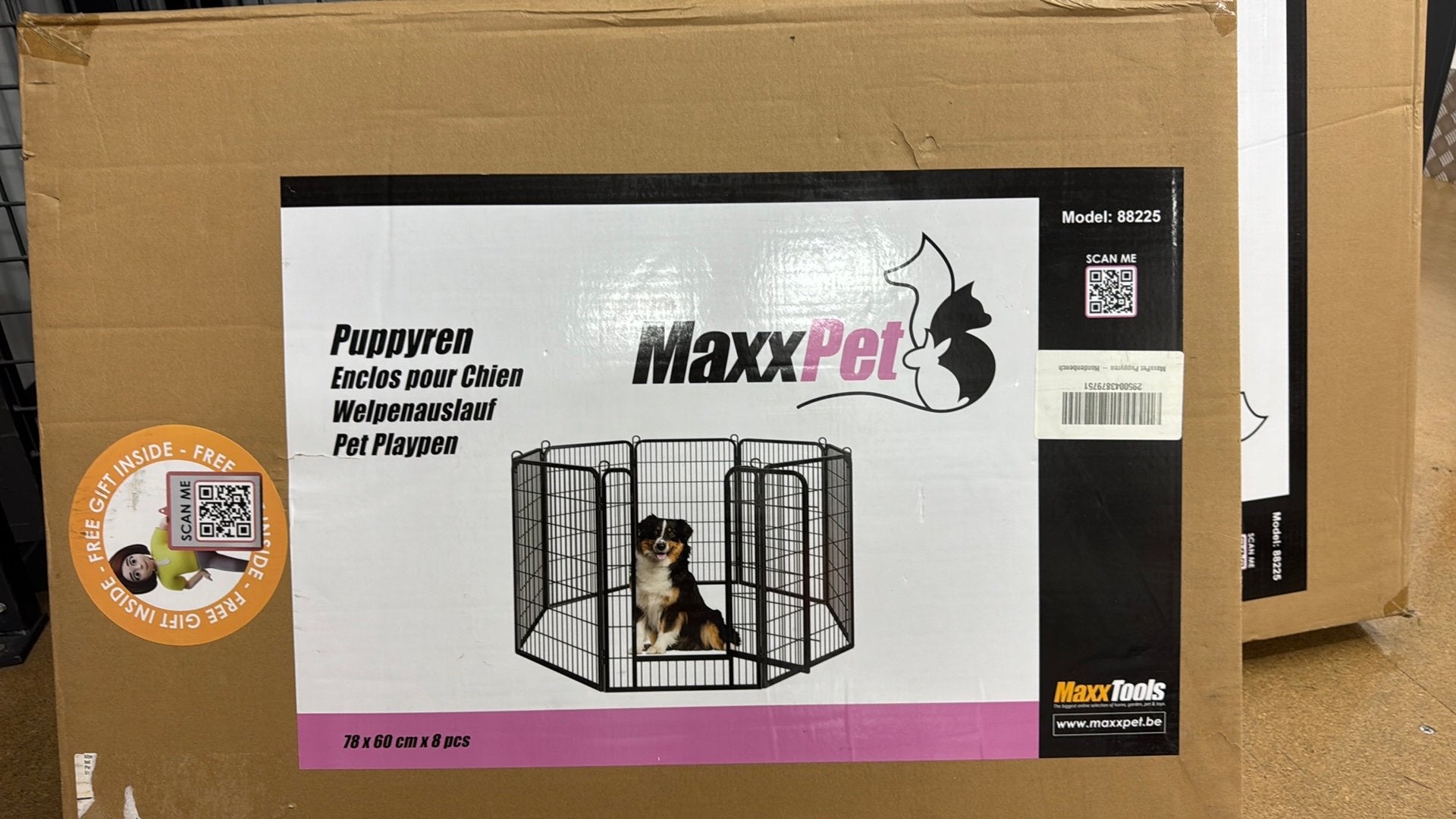 Puppyren, Dieren en Toebehoren, Ophalen of Verzenden, Nieuw