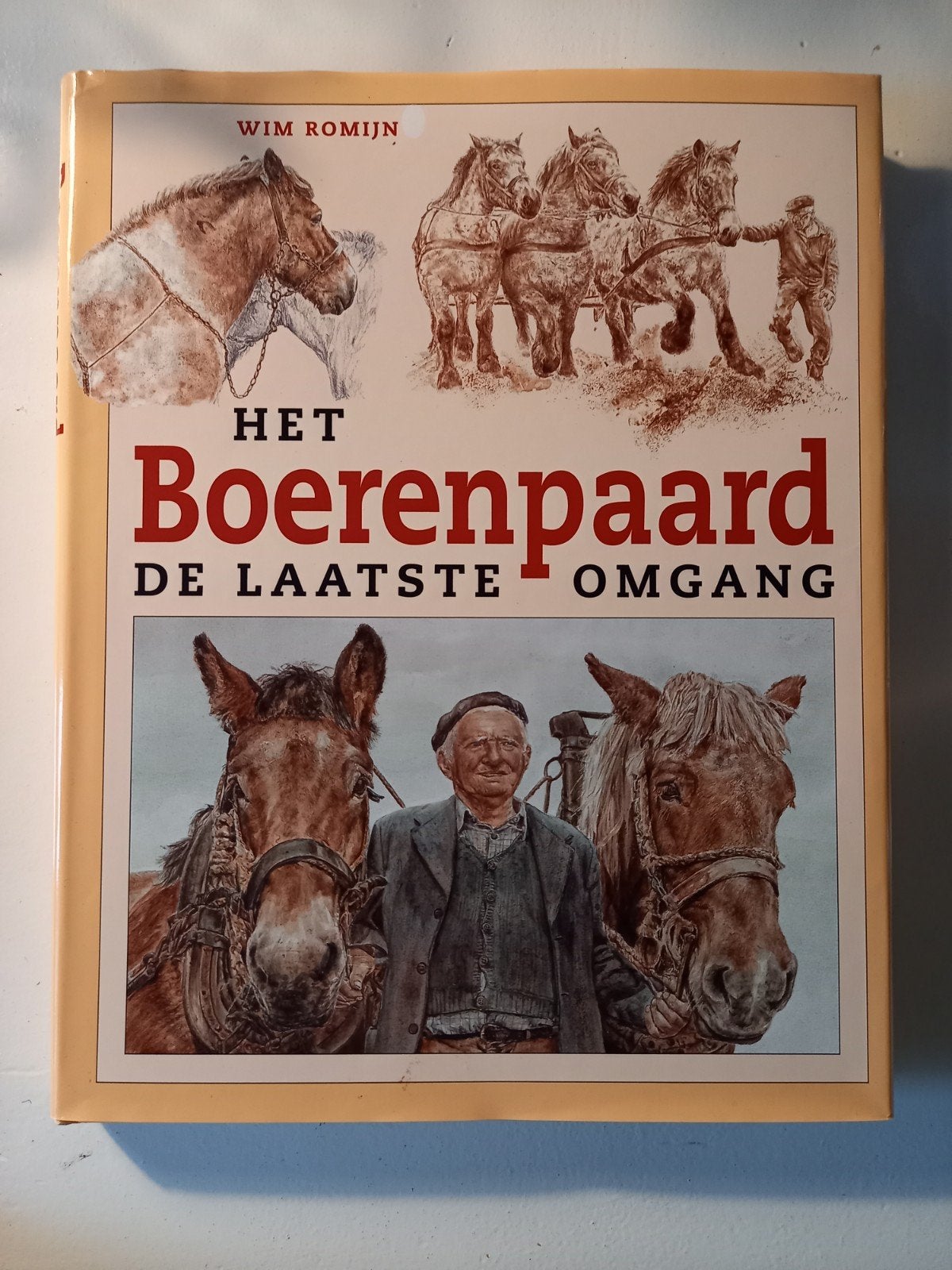 h28 Het Boerenpaard - De Laatste Omgang (Wim Romijn), Boeken, Ophalen of Verzenden, Zo goed als nieuw, Overige onderwerpen, Wim Romijn