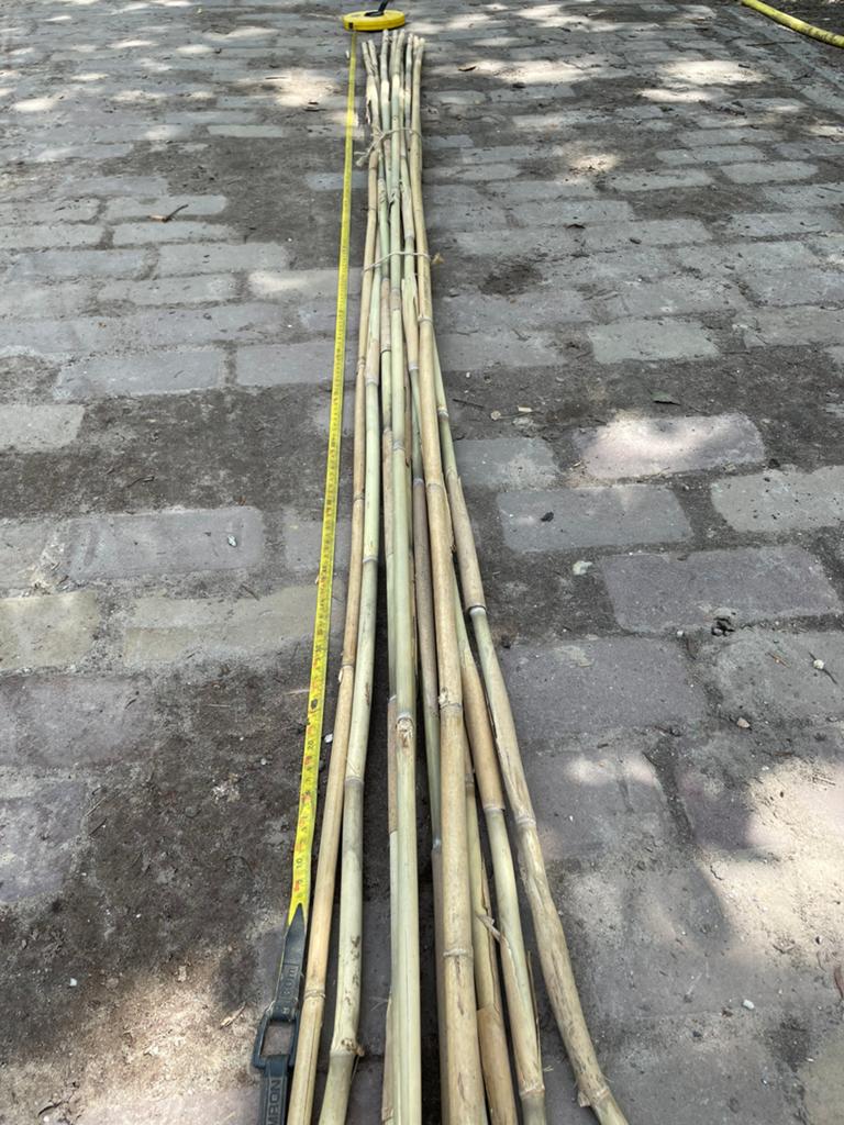 Bamboestokken circa 250cm, Tuin en Terras, Kweekspullen, Ophalen, Zo goed als nieuw