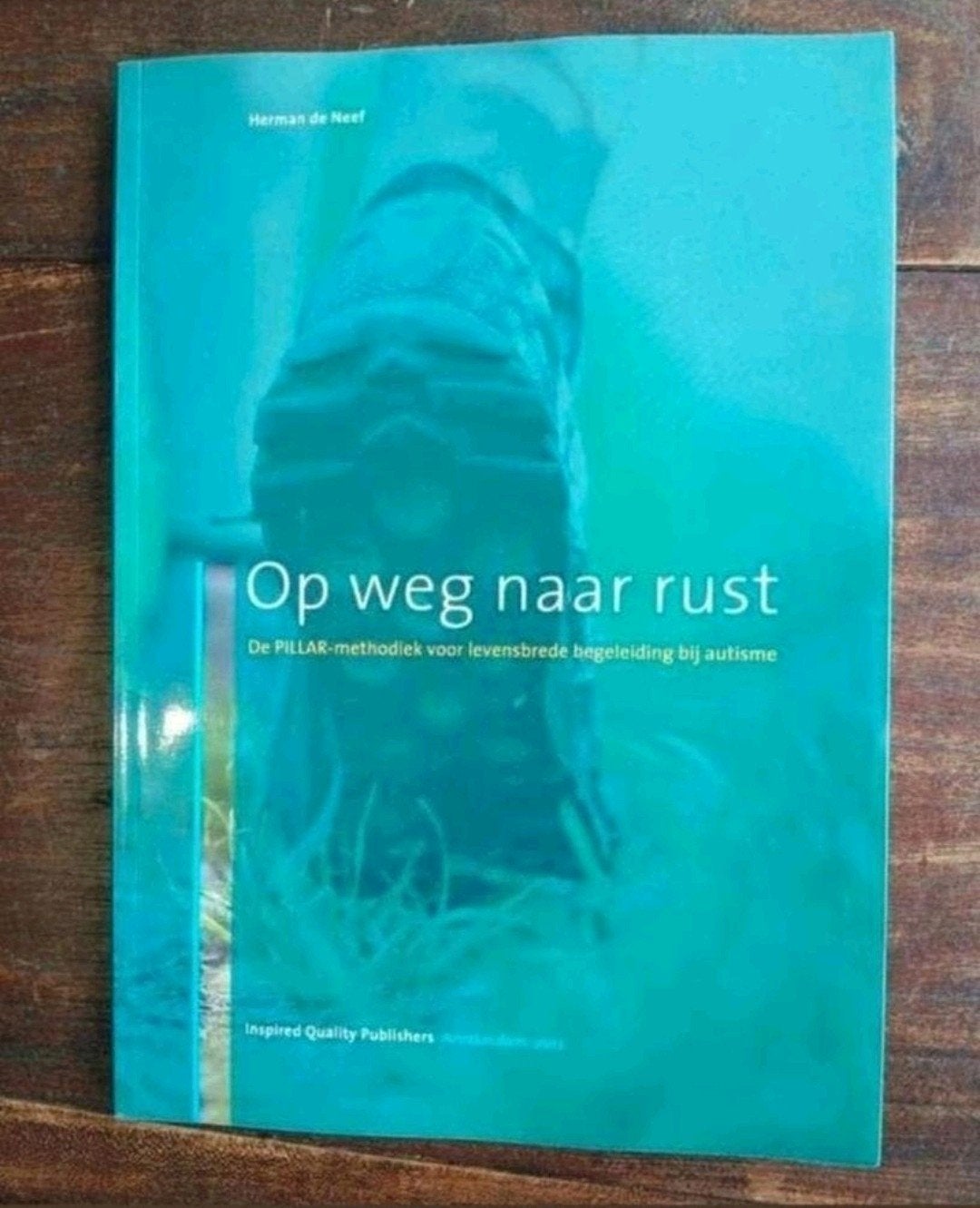 Op weg naar rust - PILLAR-methodiek autisme NIEUW VASTE PRIJ, Nieuw, HBO, Ophalen of Verzenden, Gamma