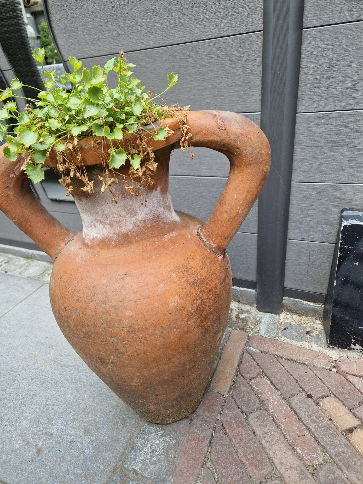 Grote terracotta kruik, Ophalen