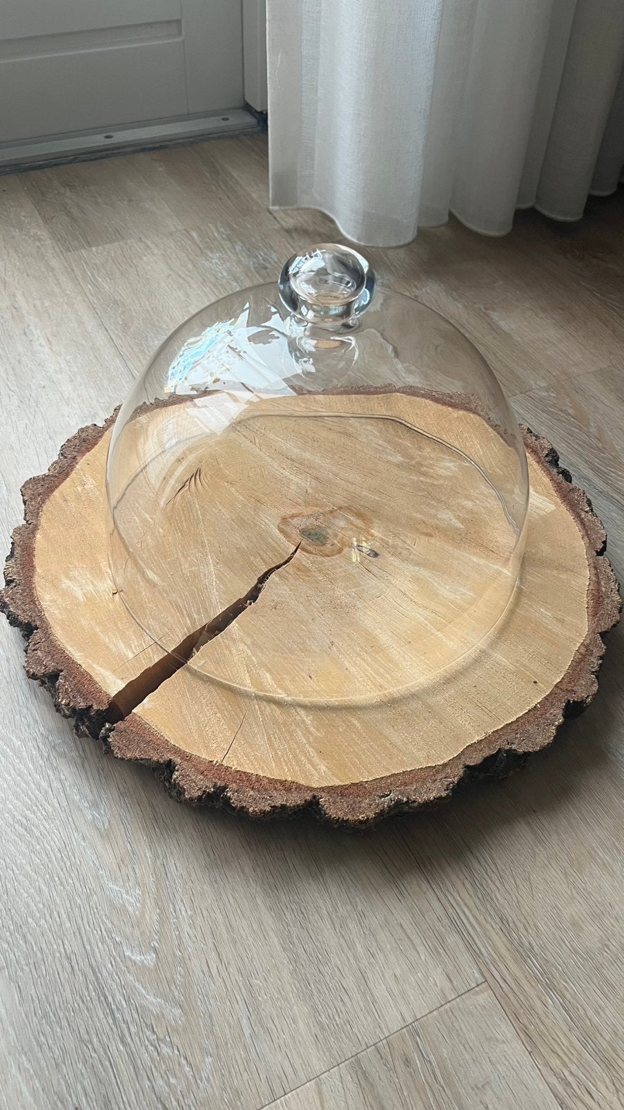 Glazen stolp op schijf echt hout, Ophalen, Zo goed als nieuw, Glas