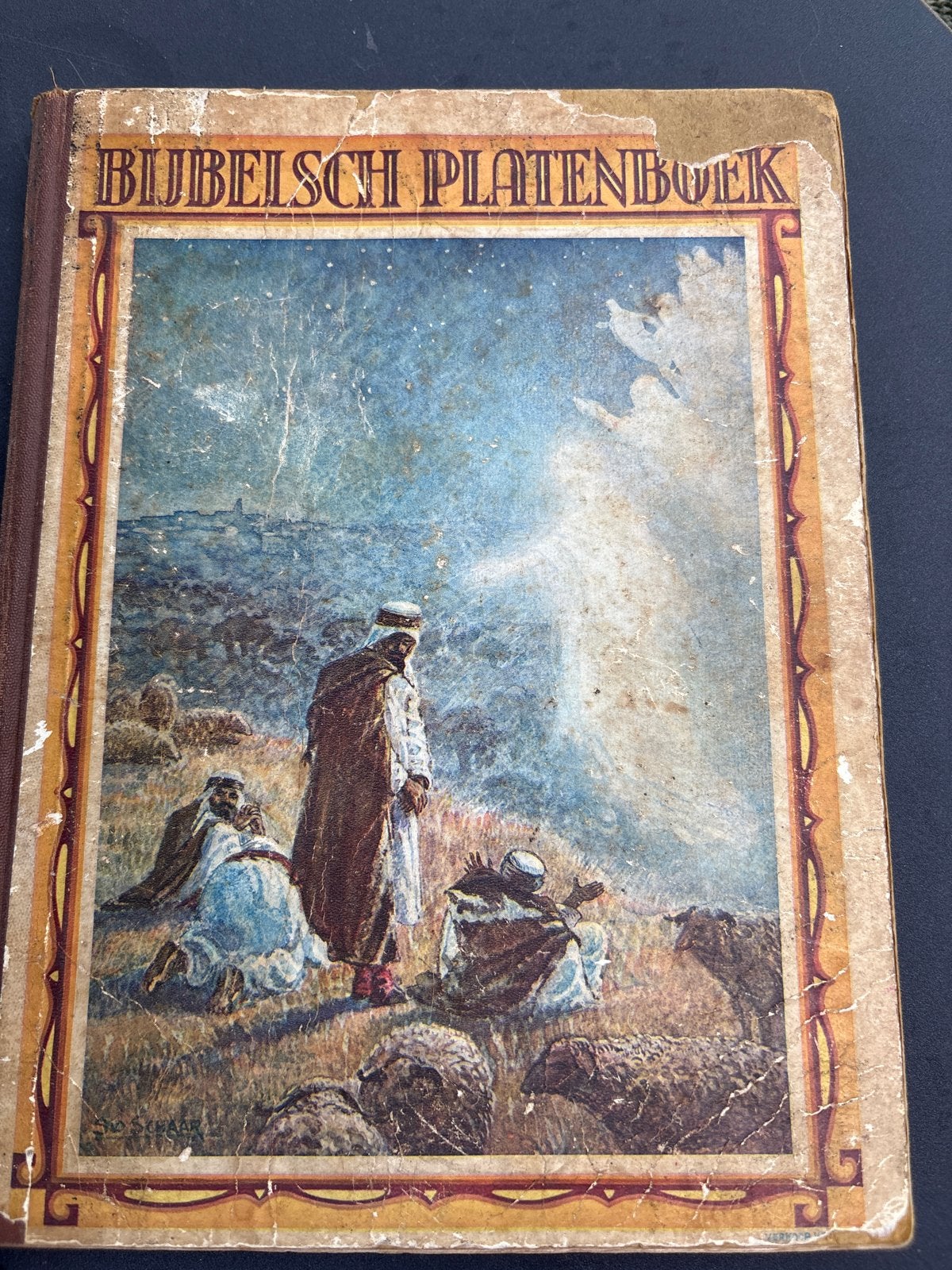 Bijbelsch Platenboek - Geïllustreerd Verhalenboek, Ophalen of Verzenden, Zo goed als nieuw