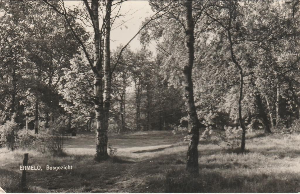 ERMELO Bosgezicht, Verzamelen, Ansichtkaarten | Nederland, Gelopen, Gelderland, 1960 tot 1980, Verzenden