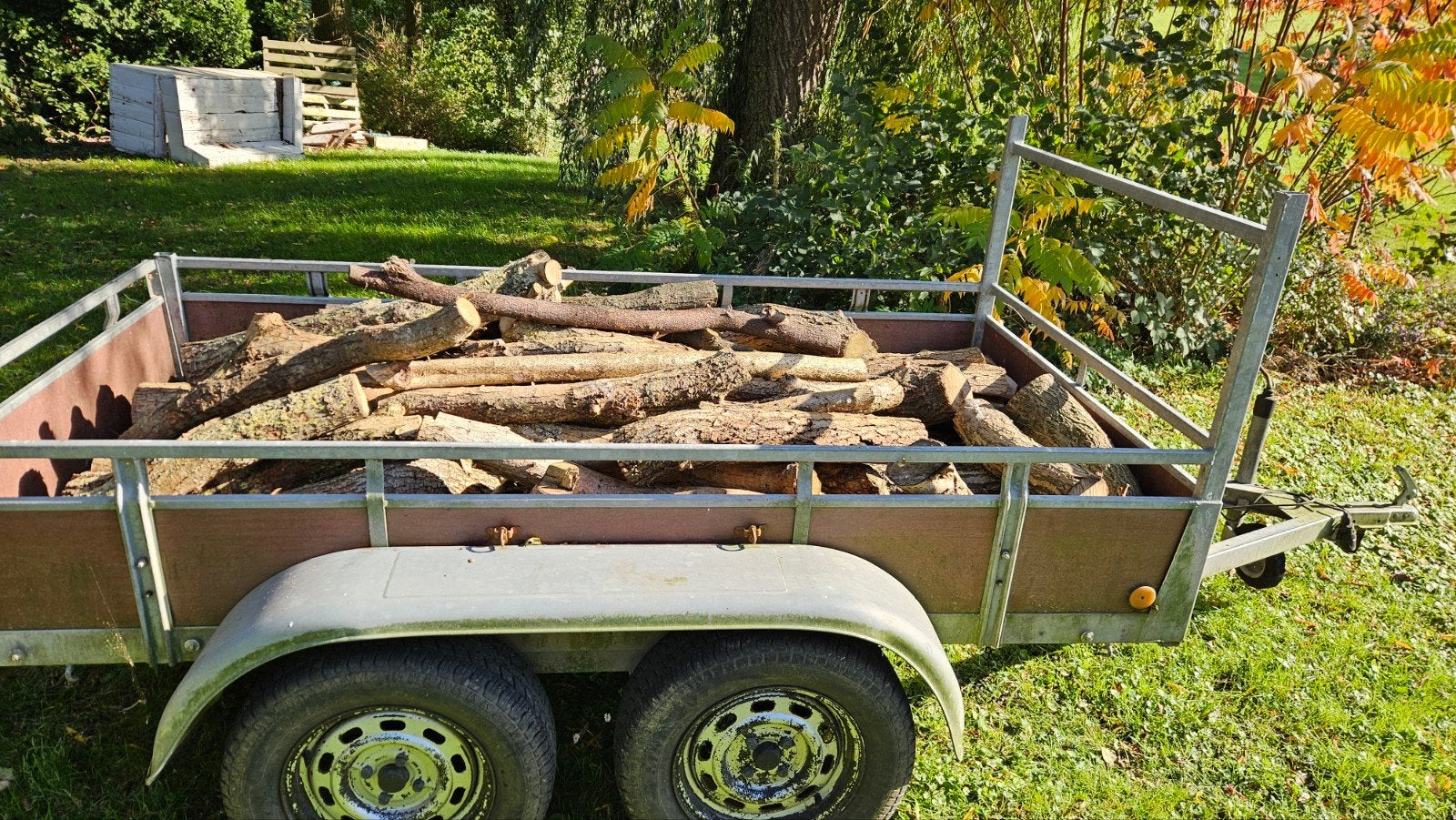 Haardhout droog, Tuin en Terras, Minder dan 3 m³, Ophalen, Overige houtsoorten, Stammen