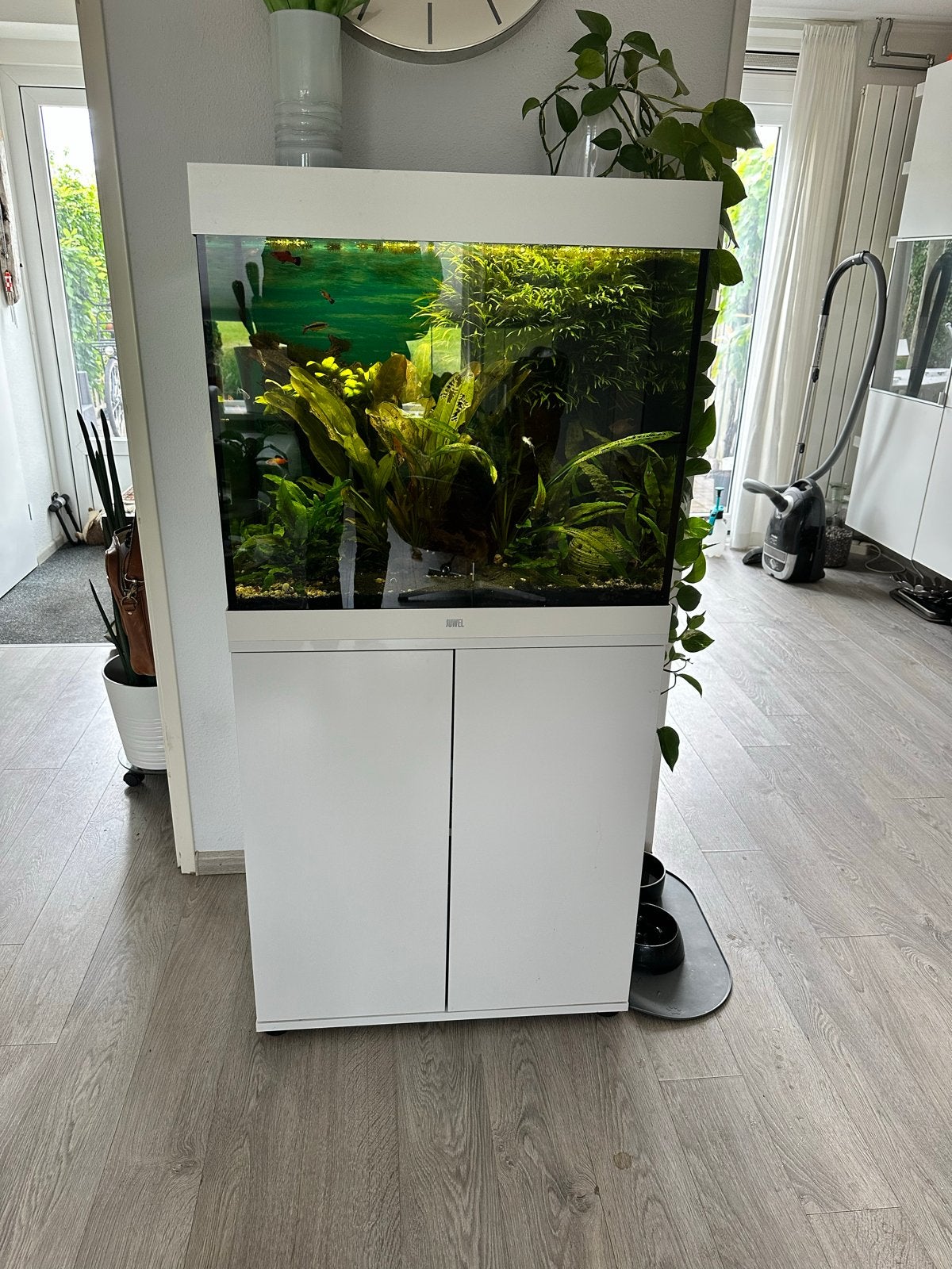 Juwel Lido 200 compleet met vissen en toebehoren, Ophalen, Zo goed als nieuw, Gevuld zoetwateraquarium