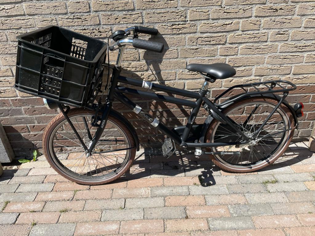 Alpina Cargo 20 inch kinderfiets met voordrager, Ophalen of Verzenden, Gebruikt, Terugtraprem, 20 inch of meer