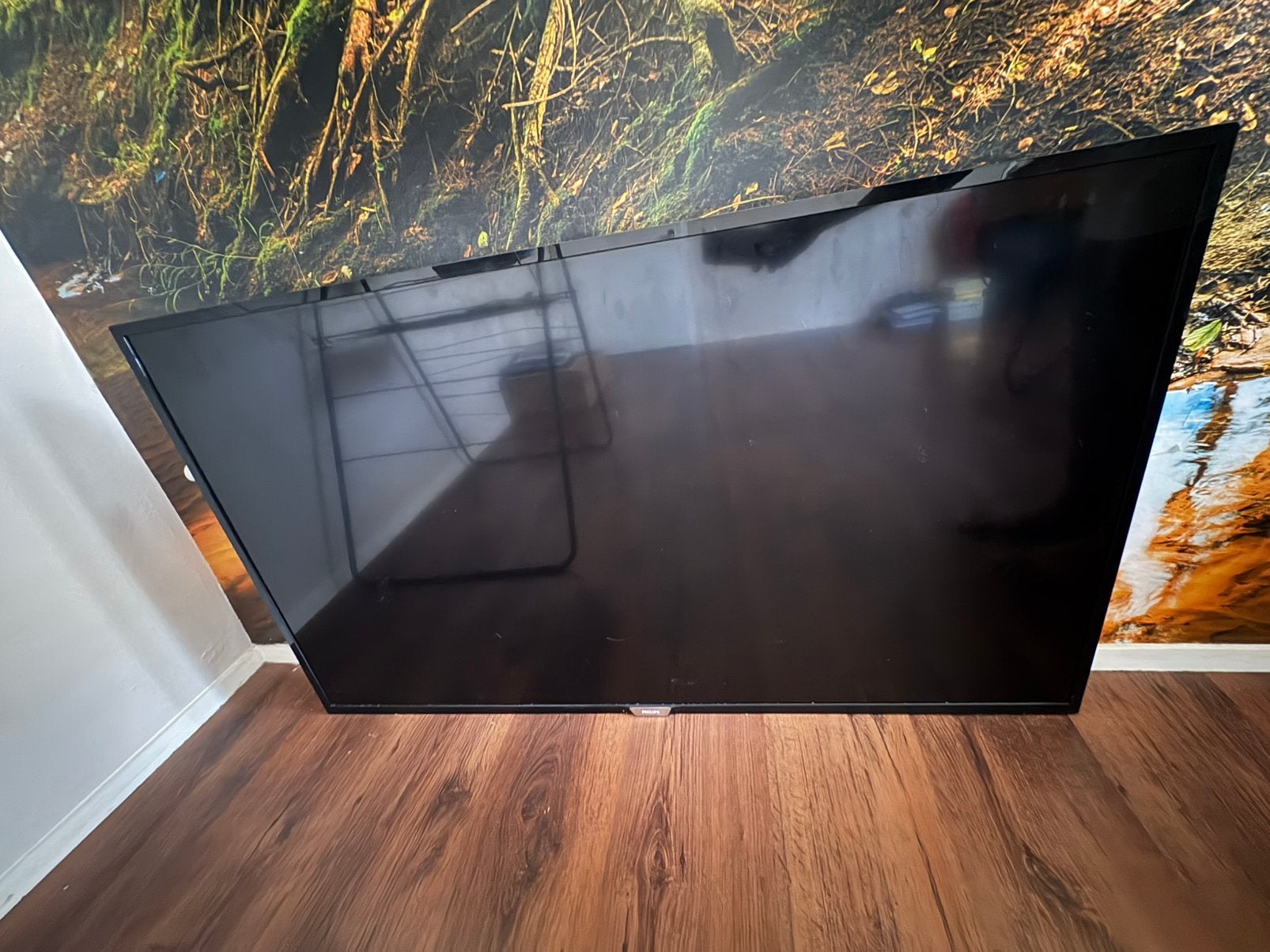 Philips tv, Ophalen, Philips, 50 Hz, 100 cm of meer