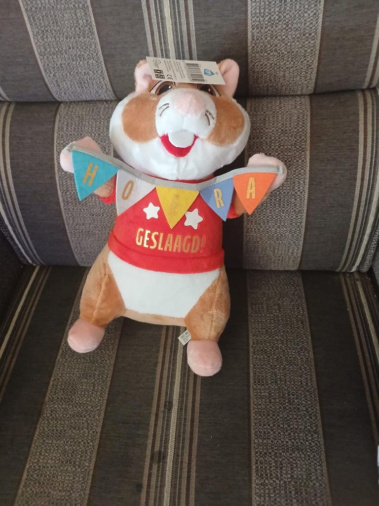 AH HAMSTER GESLAAGD, Hamster, Nieuw, Ophalen of Verzenden, Middelgroot (20 tot 80 cm)