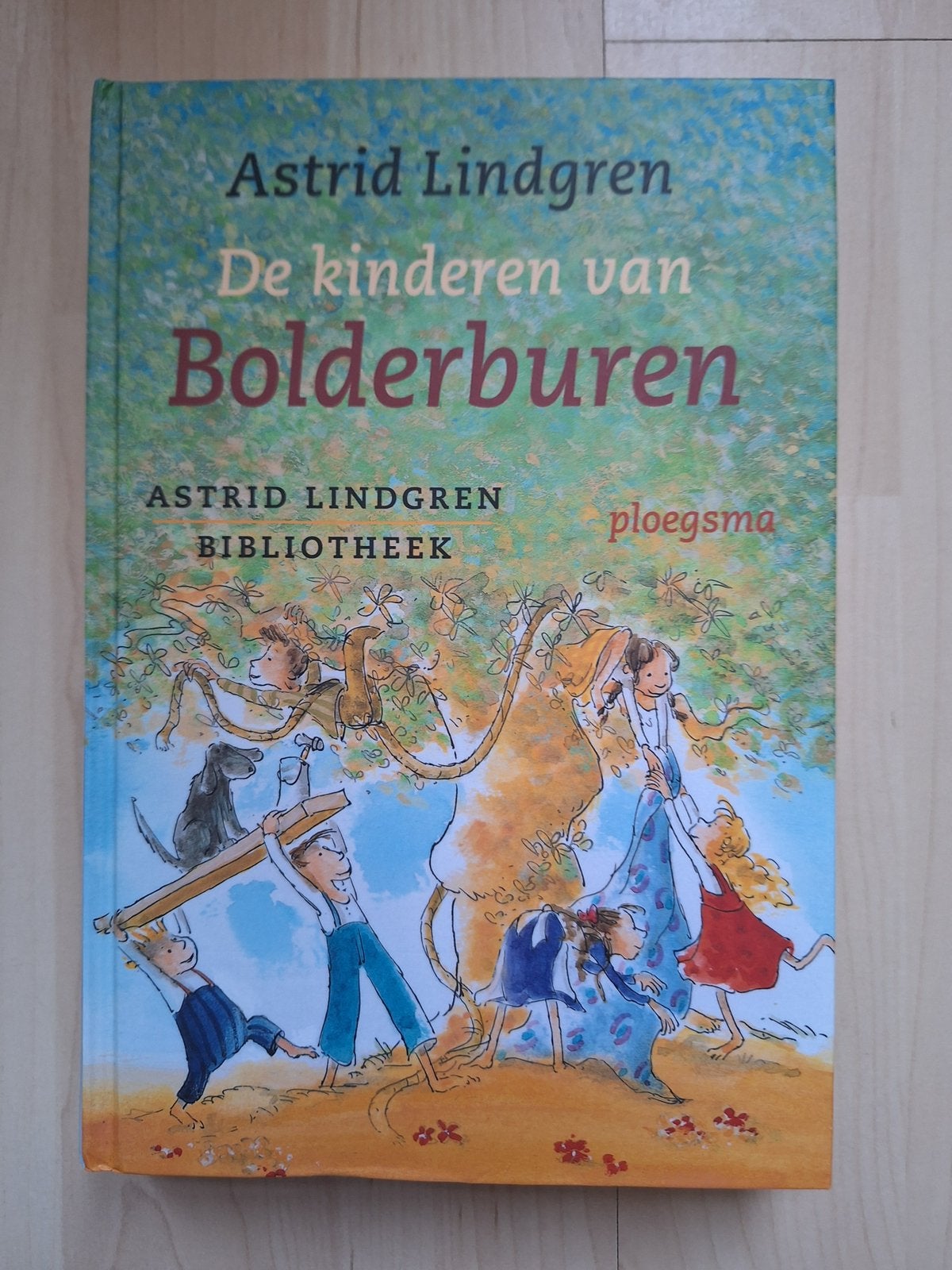 De kinderen van Bolderburen, Ophalen of Verzenden, Zo goed als nieuw