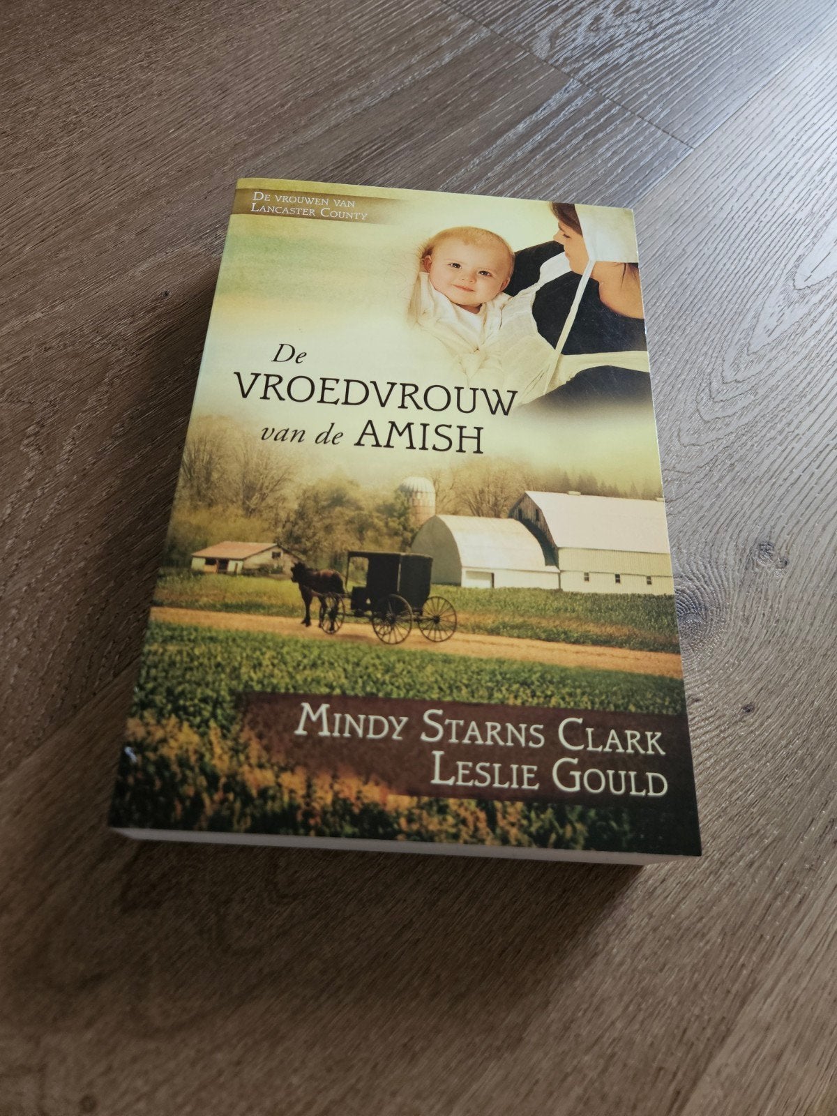 De Vroedvrouw van de Amish - Mindy Starns Clark, Ophalen of Verzenden, Zo goed als nieuw, Mindy Starns Clark, Leslie Gould, Nederland