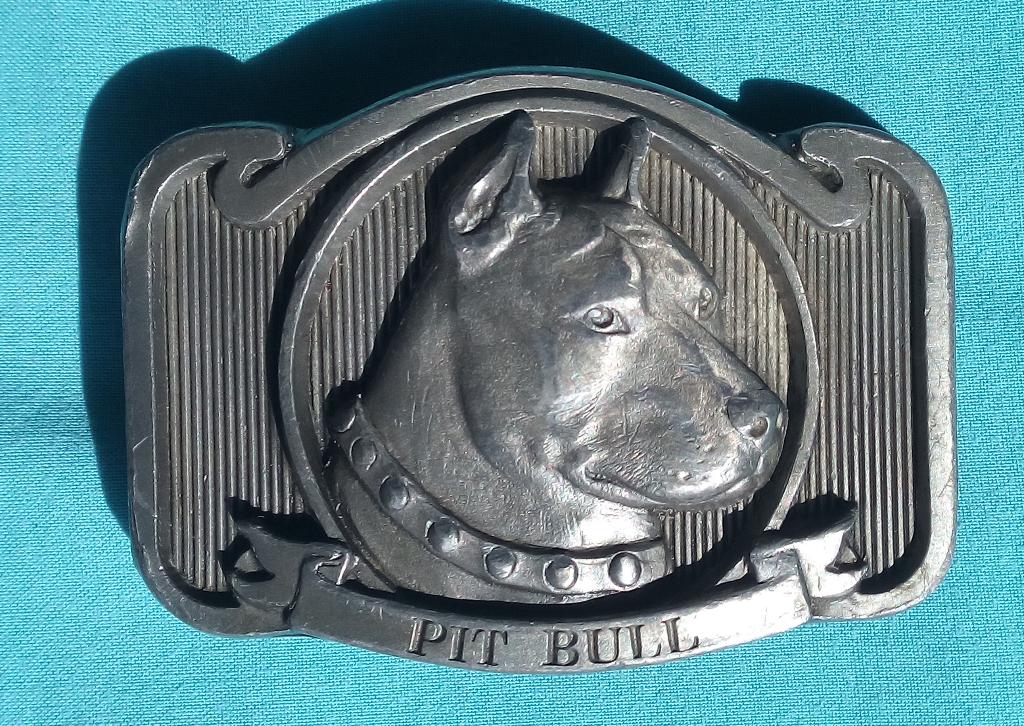 PITBULL HOND RIEM BUCKLE BUCKLES OF AMERICA MASTERPIECE COLL, Verzenden, Zo goed als nieuw, Zwart, 115 cm of meer