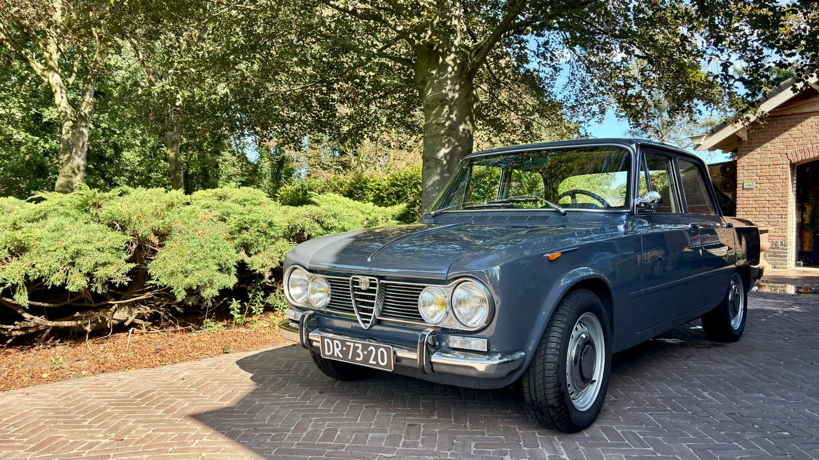Alfa Romeo Giulia Super “Bollino Oro”, Auto's, 127 pk, Achterwielaandrijving, 4 cilinders, Overige kleuren