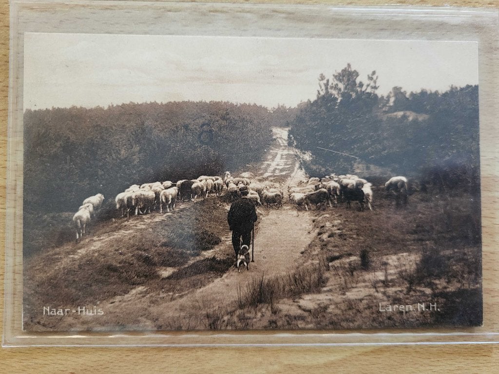 ansicht LAREN Schaapsherder Schapen, Ophalen of Verzenden, Voor 1920, Noord-Holland