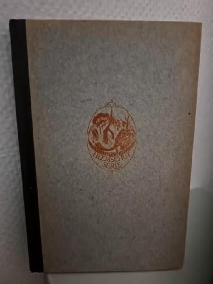 DE HISTORISCHE SCHOONHEID VAN HAARLEM - J.M. Sterk-Proot, Ophalen of Verzenden, Zo goed als nieuw