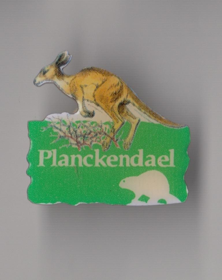 Dierentuin pin Planckendael Zoo Kangeroe, Gebruikt, Niet vindbaar, Niet vindbaar, Speldje of Pin