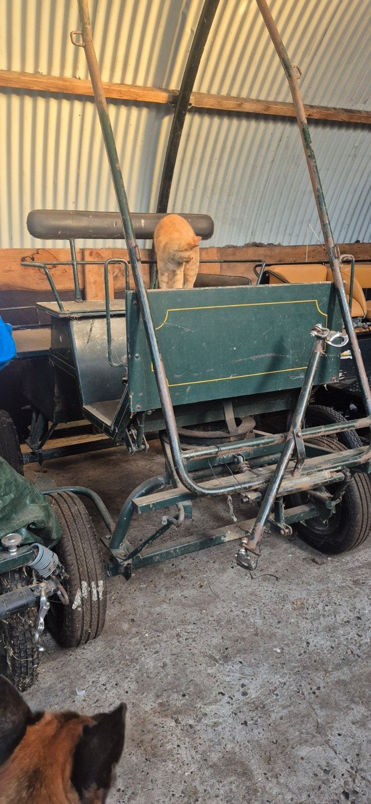 menwagen, Dieren en Toebehoren