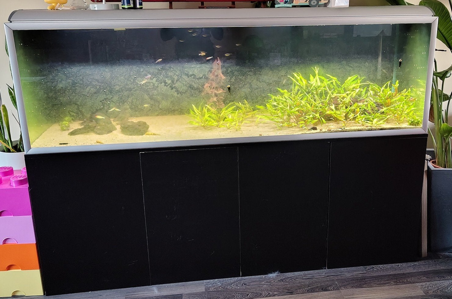720L Aquarium incl meubel en pomp, Dieren en Toebehoren, Ophalen, Pomp, Zo goed als nieuw, Gevuld zoetwateraquarium