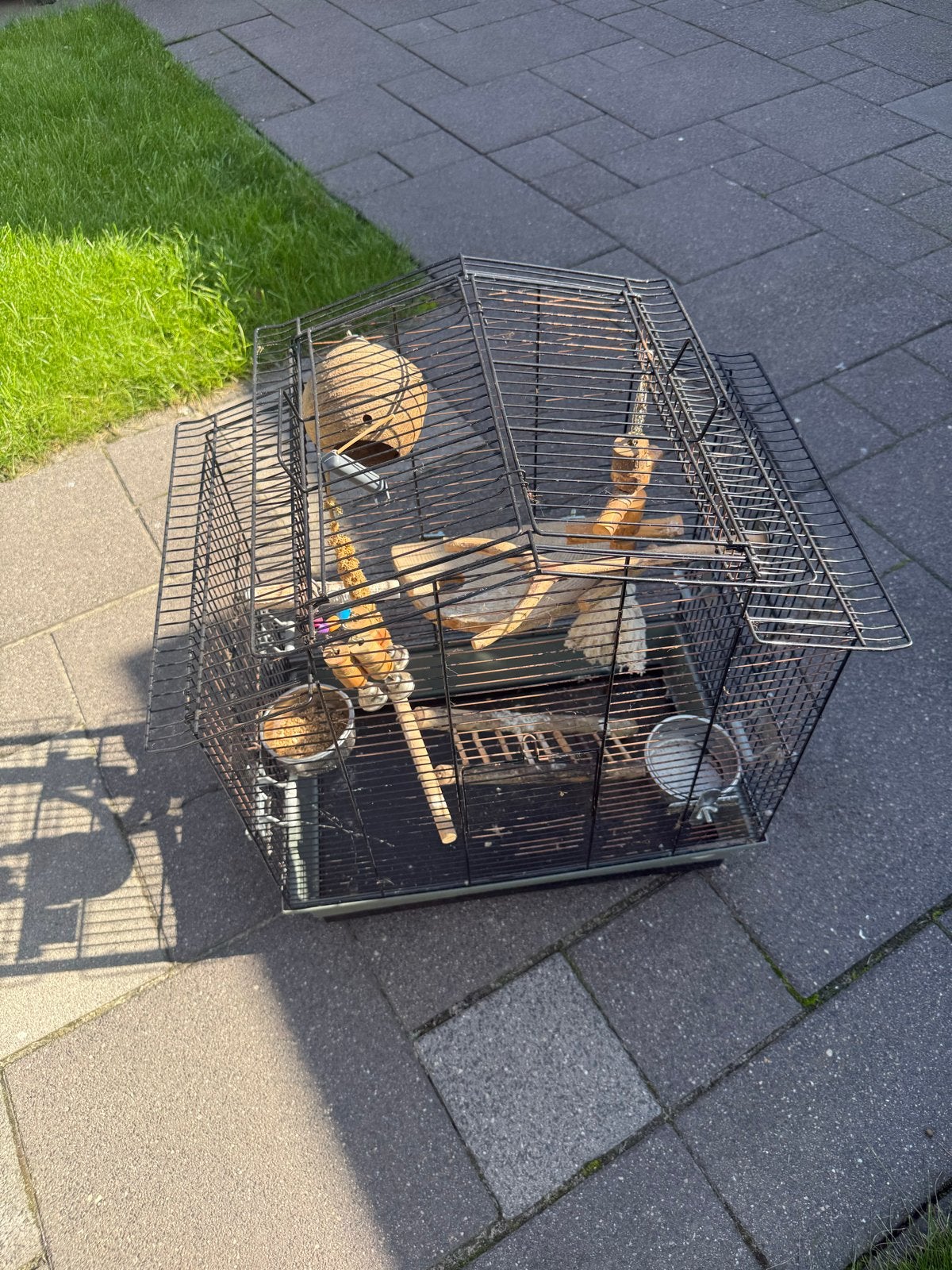 Vogels kooi, Ophalen of Verzenden