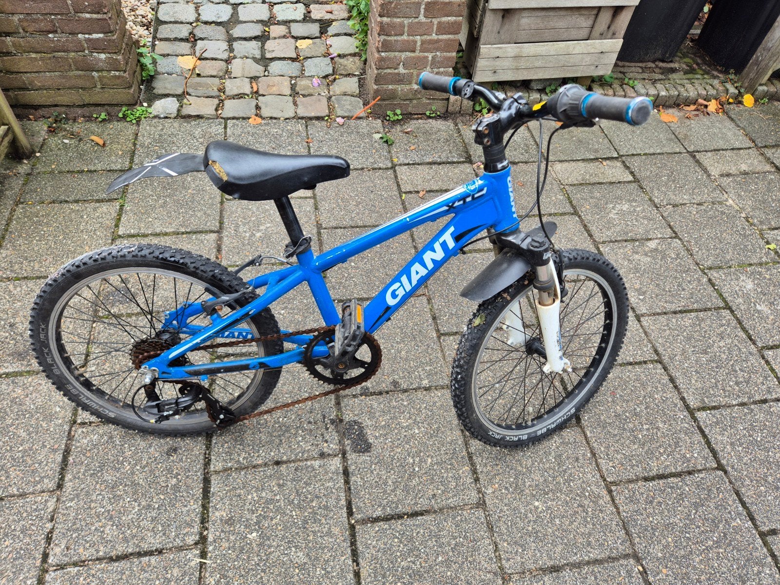 Giant kinderfiets 20 inch - Blauw, Fietsen en Brommers, Ophalen, 20 inch of meer, Gebruikt, Velgrem