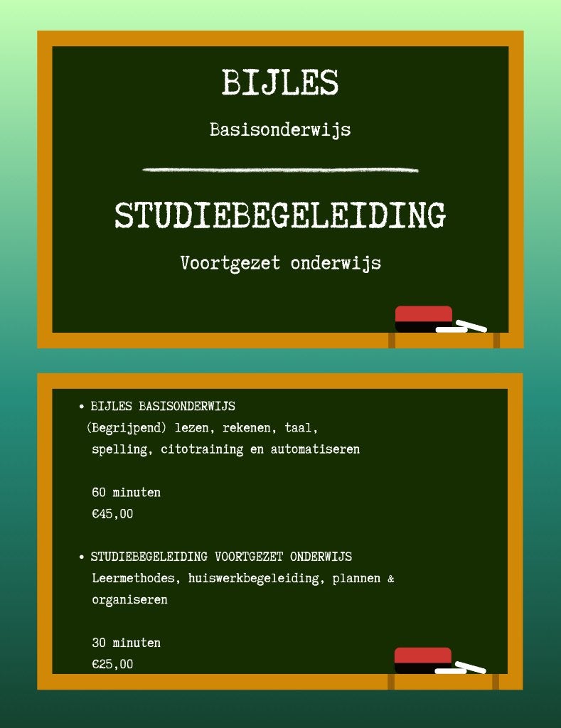 Basisschoolbijlessen en studiebegeleiding VO, Privéles, Bijles