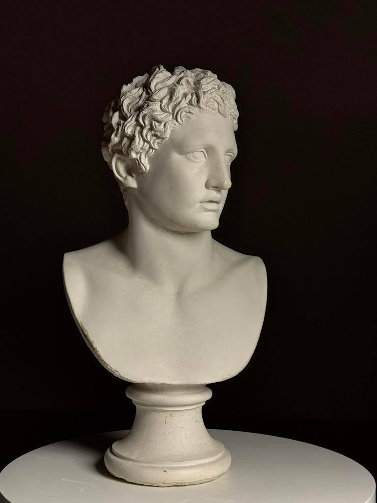 Buste Borstbeeld Meleager Griekse Mythologie, Ophalen, Gebruikt, Dier
