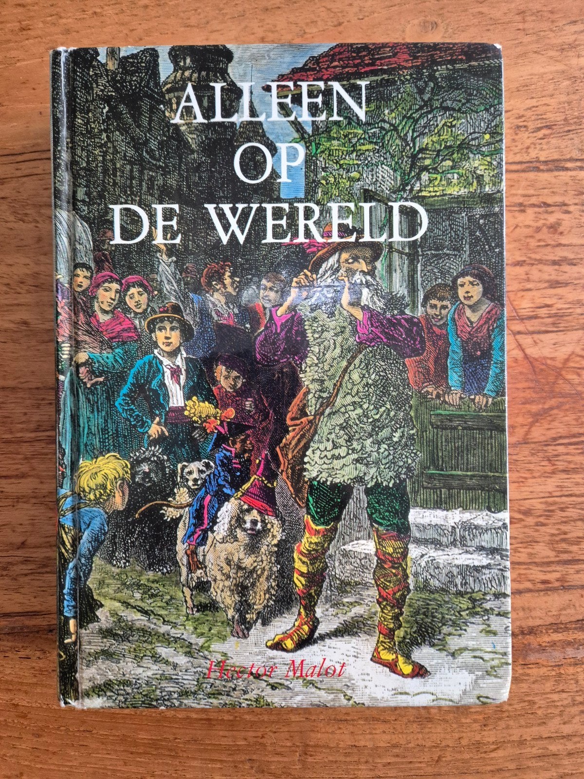 Alleen op de Wereld - Hector Malot (Jeugdboek), Boeken, Gelezen, Ophalen of Verzenden, Hector Malot, Fictie