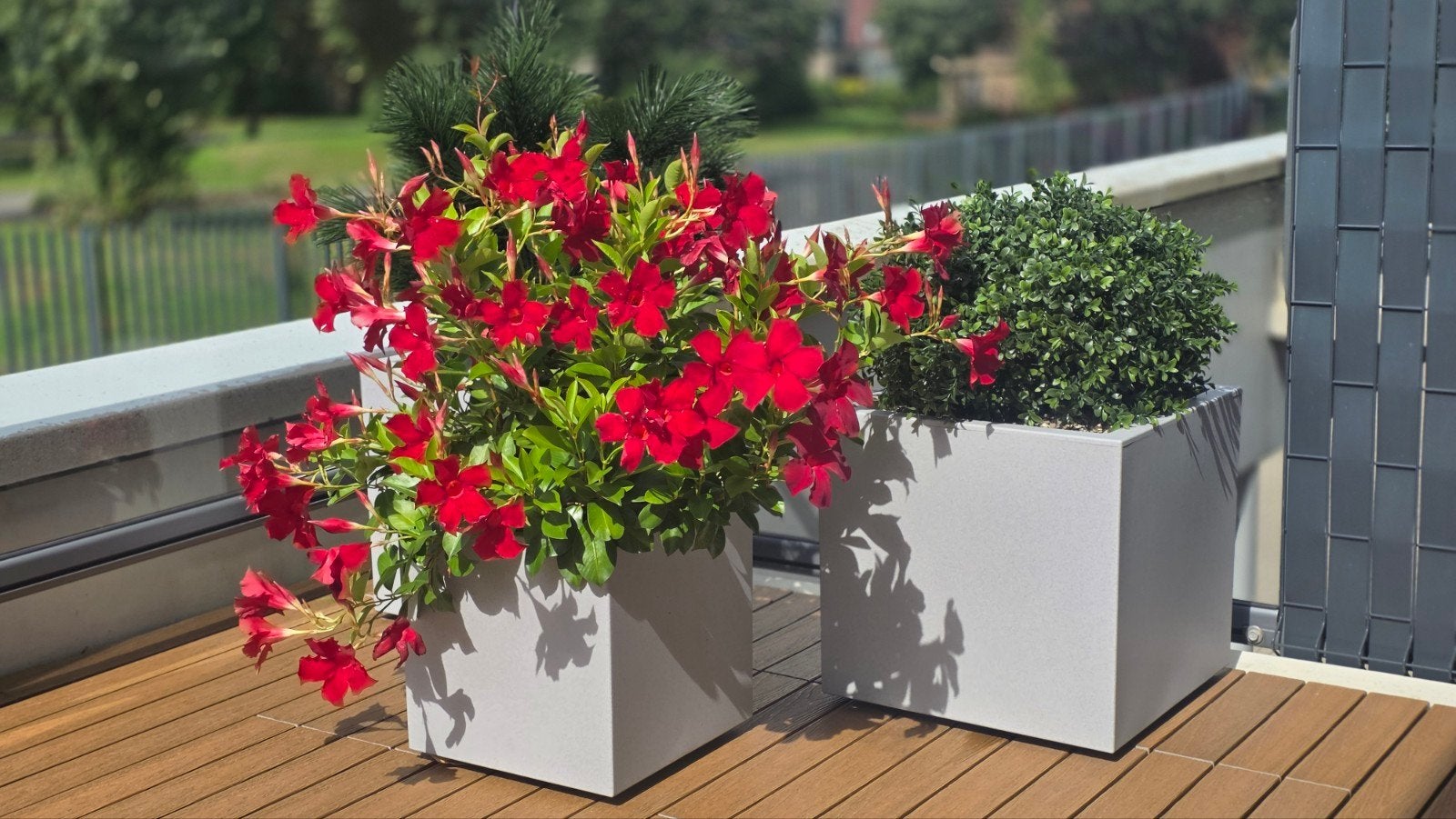 Elho Vivo Next vierkante plantenbakken, Kunststof, Zo goed als nieuw, Overige vormen, Balkon