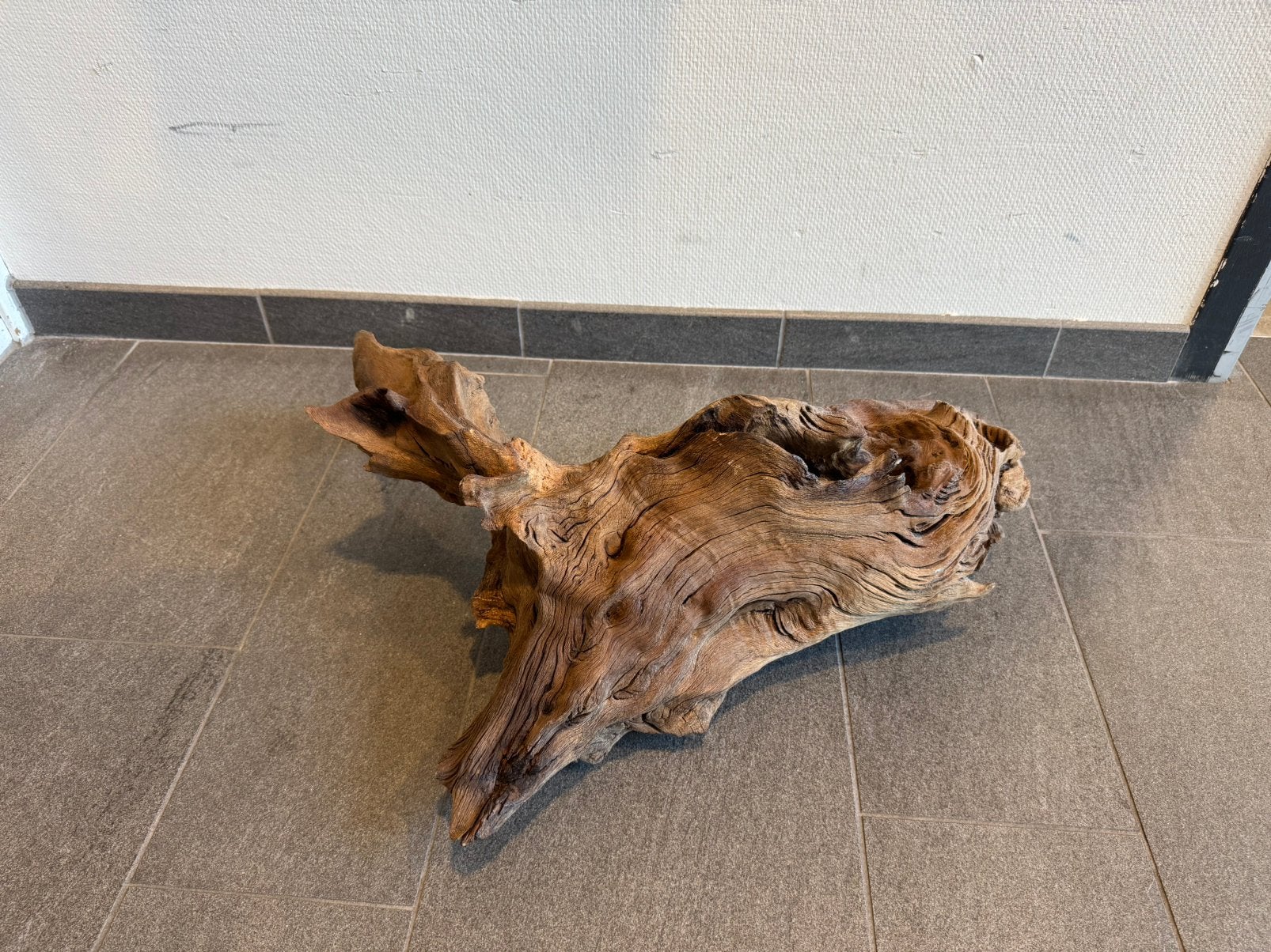 Decoratie houten stronk, Ophalen, Zo goed als nieuw