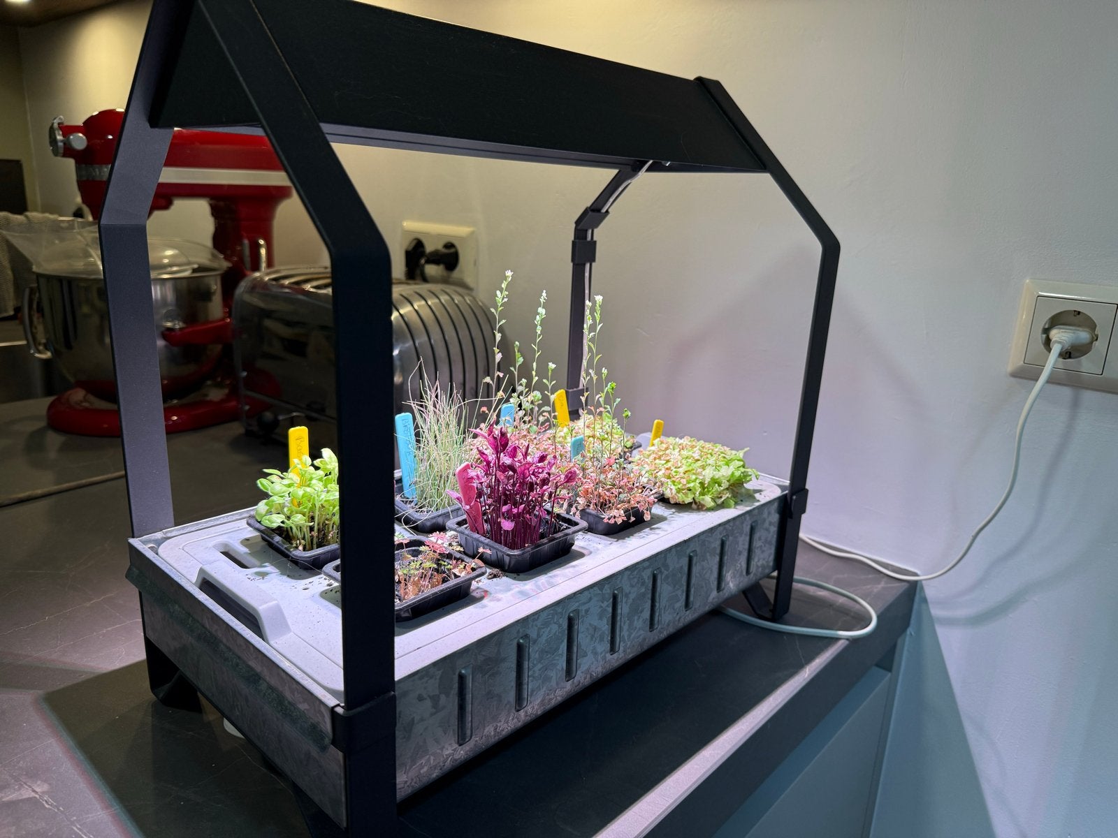 IKEA KRYDDA/VÄXER kruiden kweekbak met LED-lamp, Ophalen, Gebruikt, Kweekbak