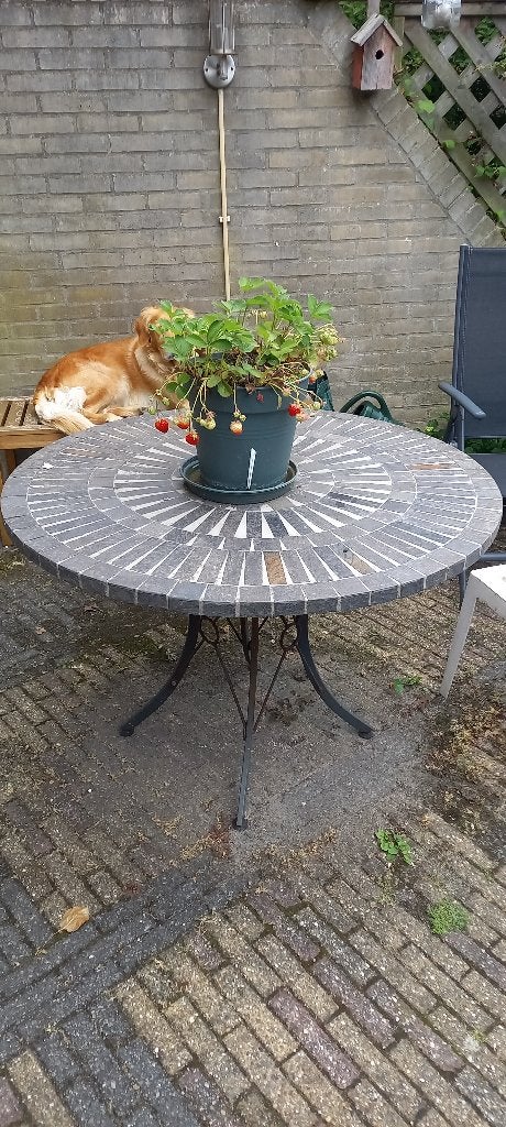 Tuintafel gratis op te halen, Ophalen, Gebruikt, Rond, Overige materialen