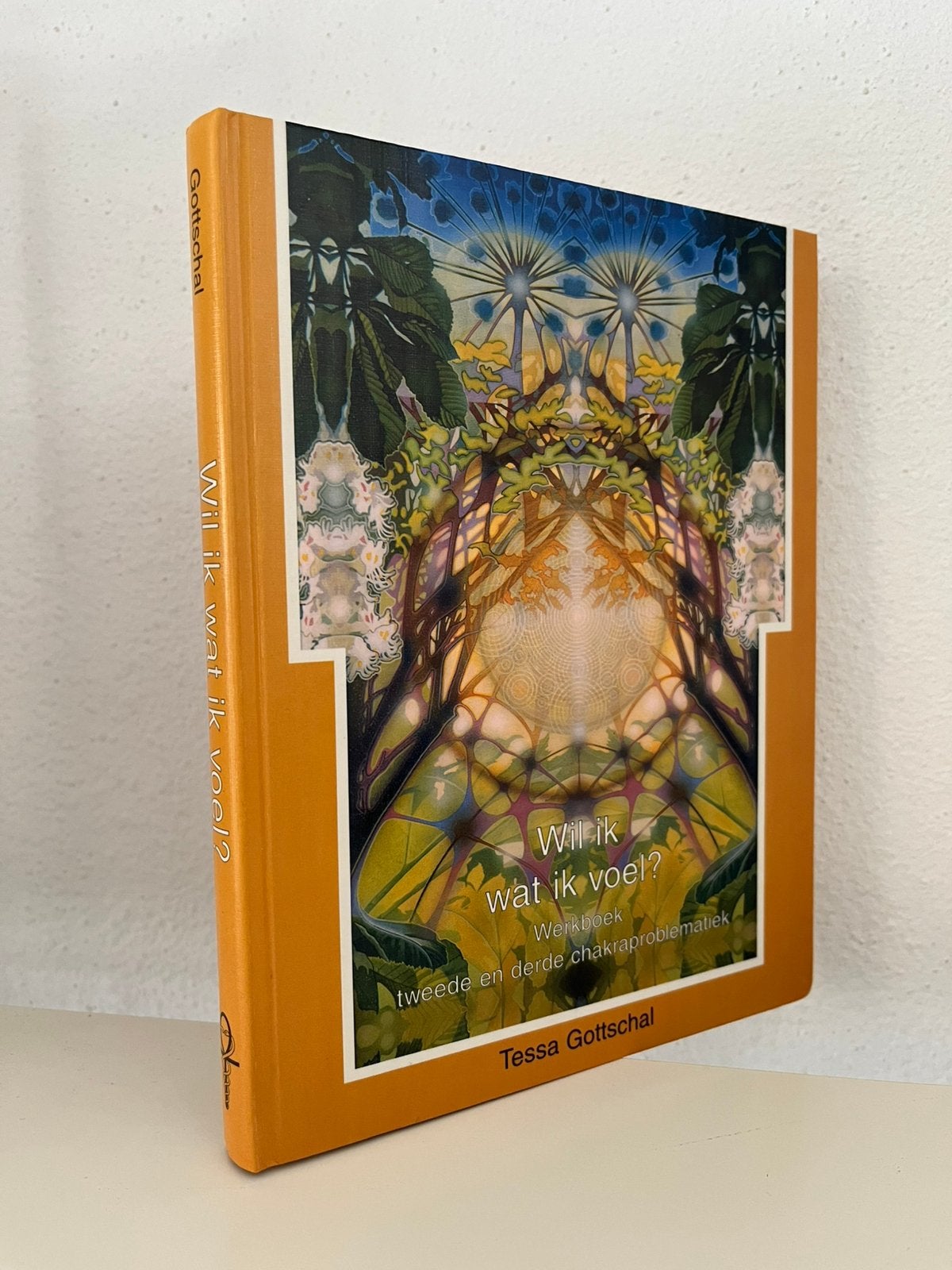 Wil ik wat ik voel - chakra - Gottschal - chakraproblematiek, Ophalen of Verzenden, Zo goed als nieuw