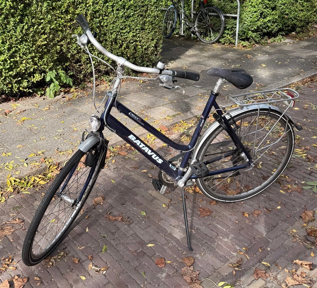 Foto 2 van Batavus Cayuca fiets met 8 versnellingen