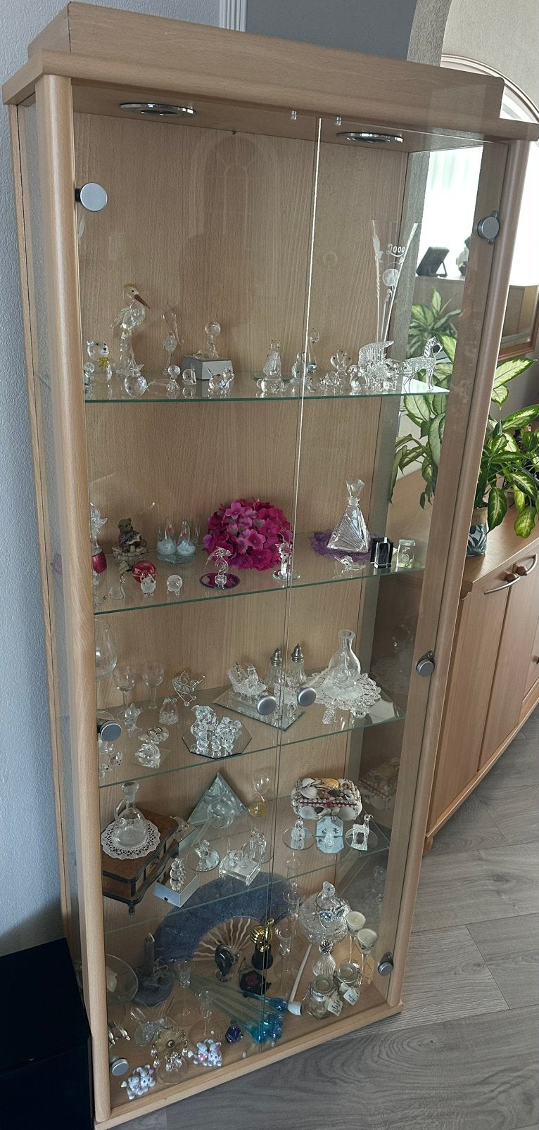 Knappe vitrinekast, Ophalen, Strak, Met deur(en), 50 tot 100 cm