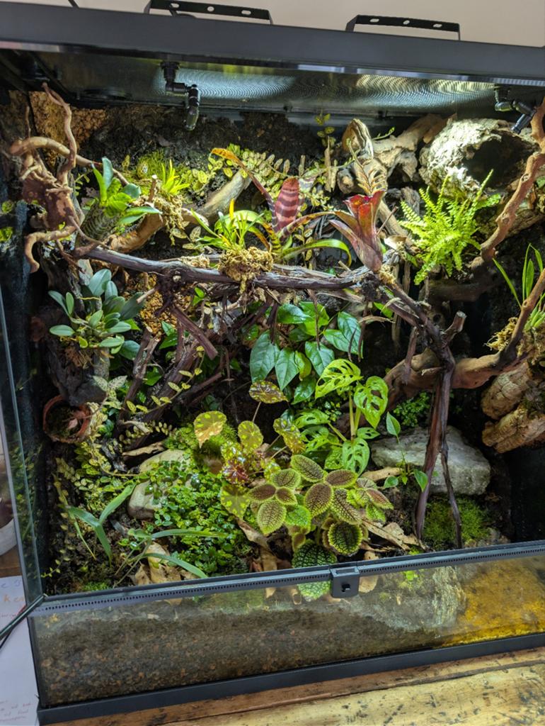 Paludarium, Dieren en Toebehoren, Reptielen en Amfibieën | Toebehoren, Ophalen