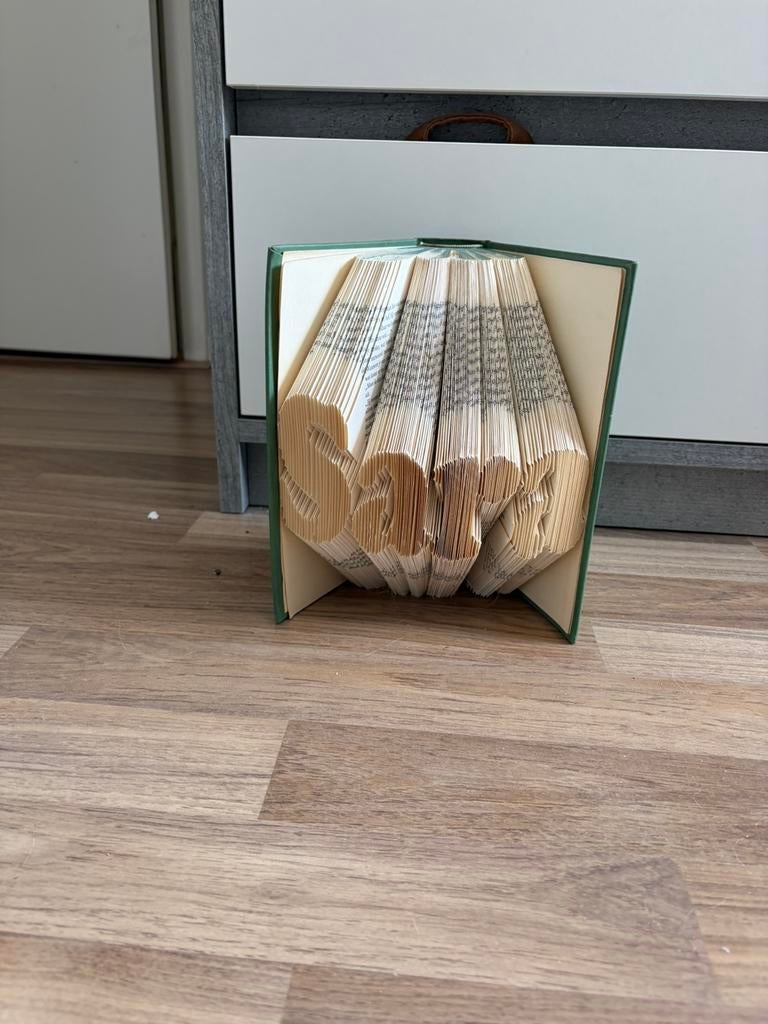 Boek sara, Ophalen of Verzenden, Nieuw